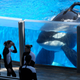 Foto: Phelan M. Ebenhack / AP Images.
